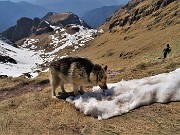 48 Buona bella fresca la neve